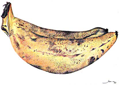 banana